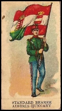 E5 Austria-Hungarian Standard Bearer.jpg